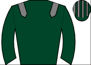 Horse silk