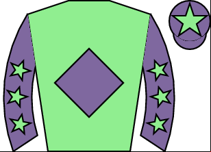 Horse silk