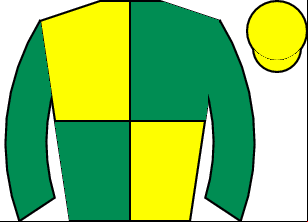Horse silk