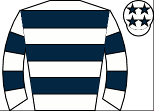 Horse silk