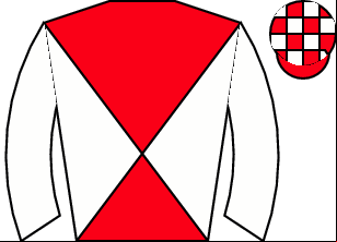 Horse silk