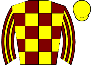 Horse silk