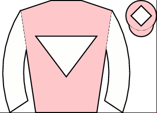 Horse silk
