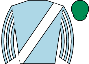 Horse silk
