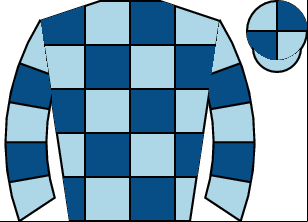 Horse silk