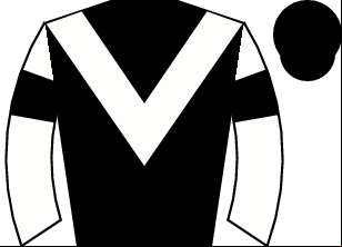 Horse silk