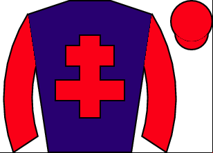 Horse silk
