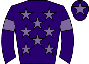 Horse silk