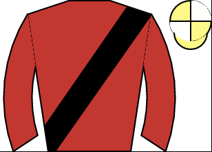Horse silk