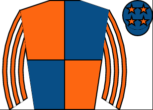 Horse silk