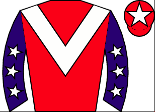Horse silk