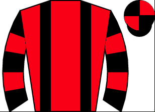 Horse silk