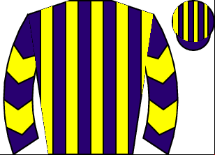 Horse silk