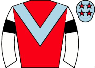 Horse silk