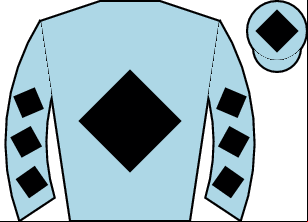 Horse silk