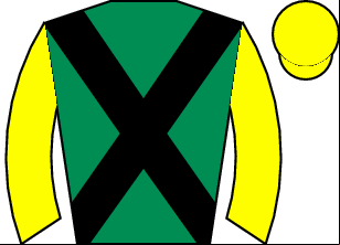 Horse silk