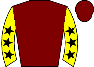 Horse silk