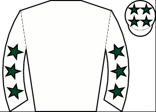 Horse silk