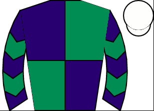 Horse silk