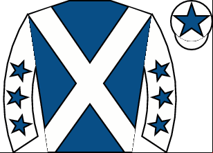 Horse silk