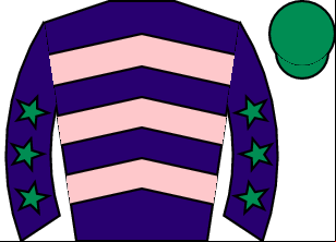 Horse silk