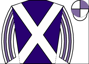 Horse silk