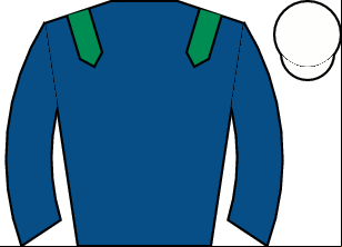 Horse silk