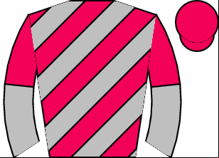 Horse silk
