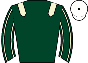 Horse silk
