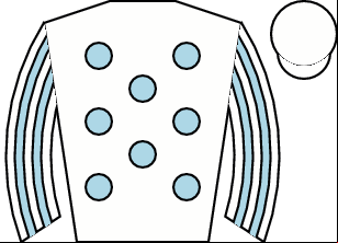 Horse silk