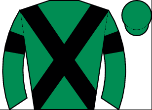 Horse silk