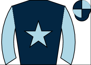 Horse silk