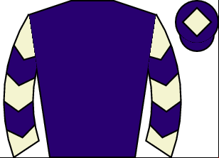 Horse silk