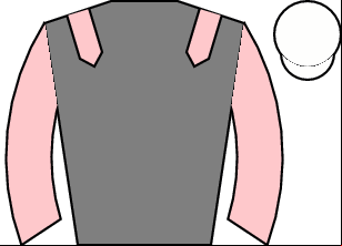 Horse silk