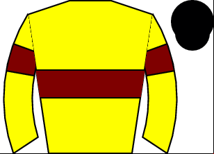 Horse silk