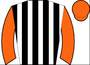 Horse silk