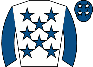 Horse silk
