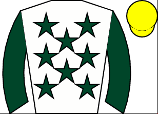 Horse silk