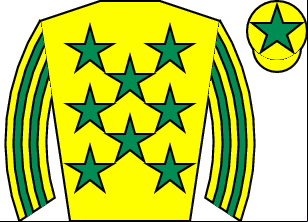 Horse silk