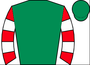 Horse silk