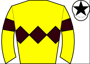 Horse silk