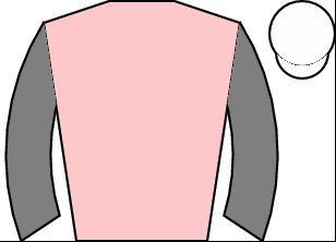 Horse silk
