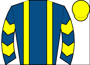 Horse silk
