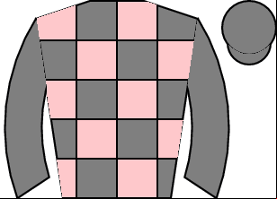Horse silk