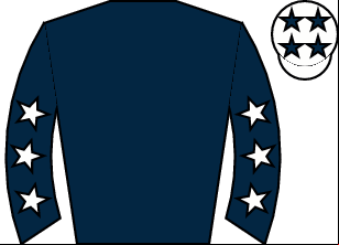 Horse silk