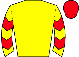 Horse silk