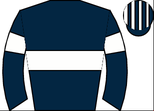 Horse silk