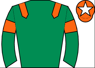 Horse silk