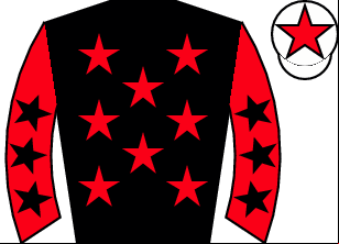 Horse silk