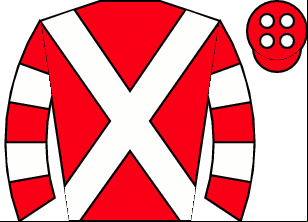 Horse silk